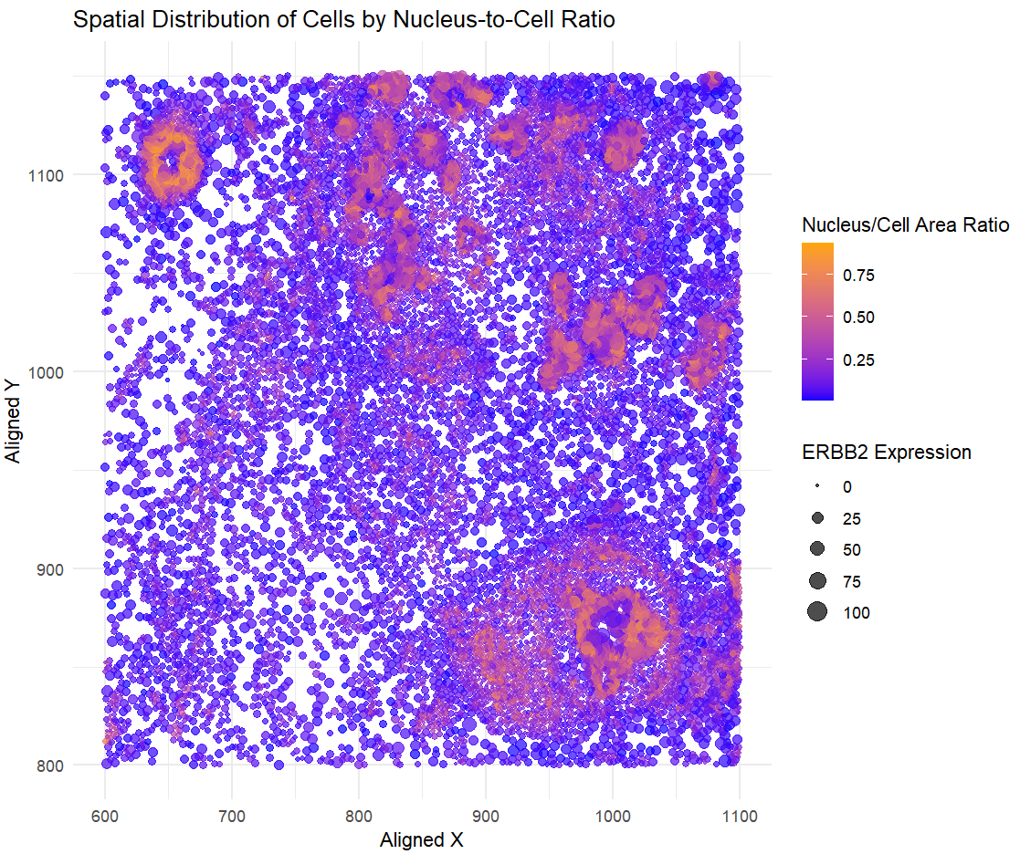 Spatial Distribution of Cells by Nucleus-to-Cell Ratio Write Up