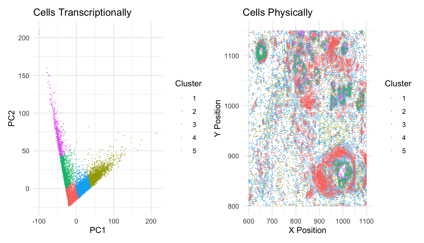 Relationship Between Gene Expression in Cells vs. their Physical Position