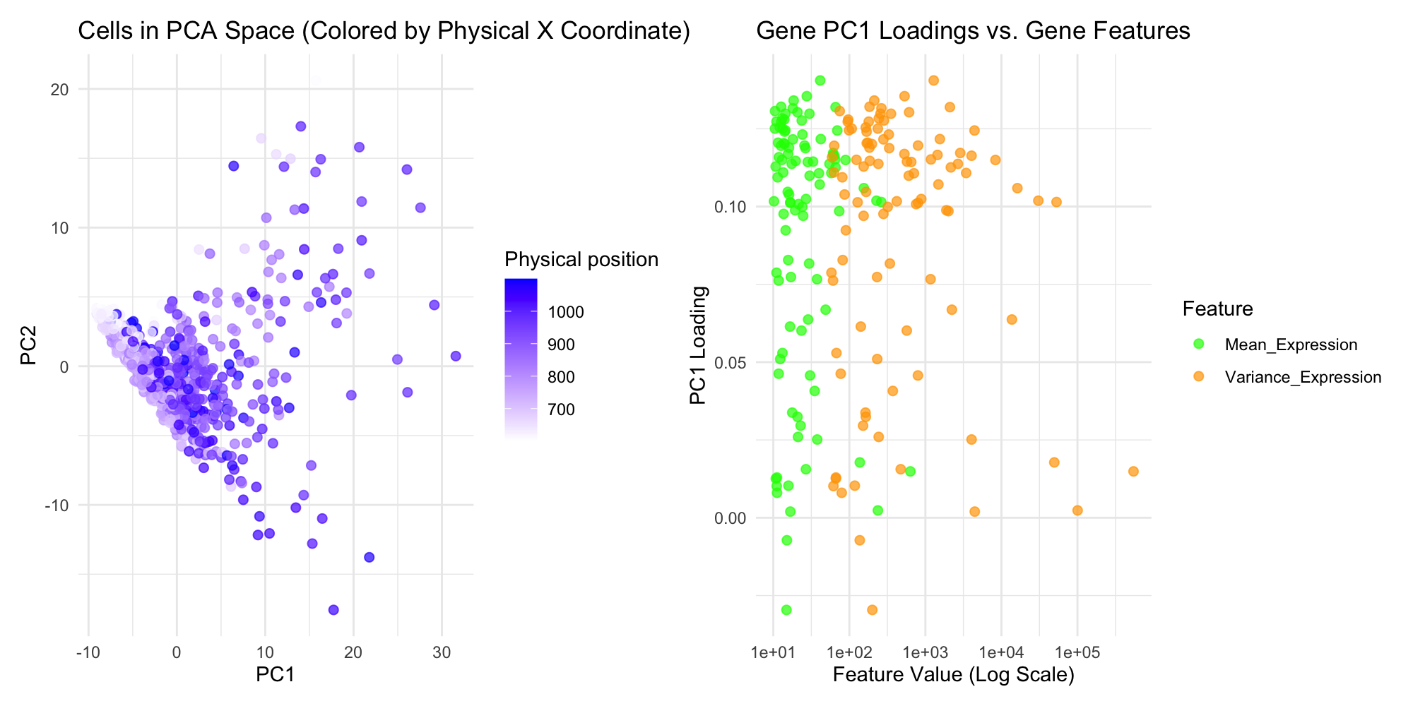 Visualization of Cellular PCA Space and Gene Feature Correlations