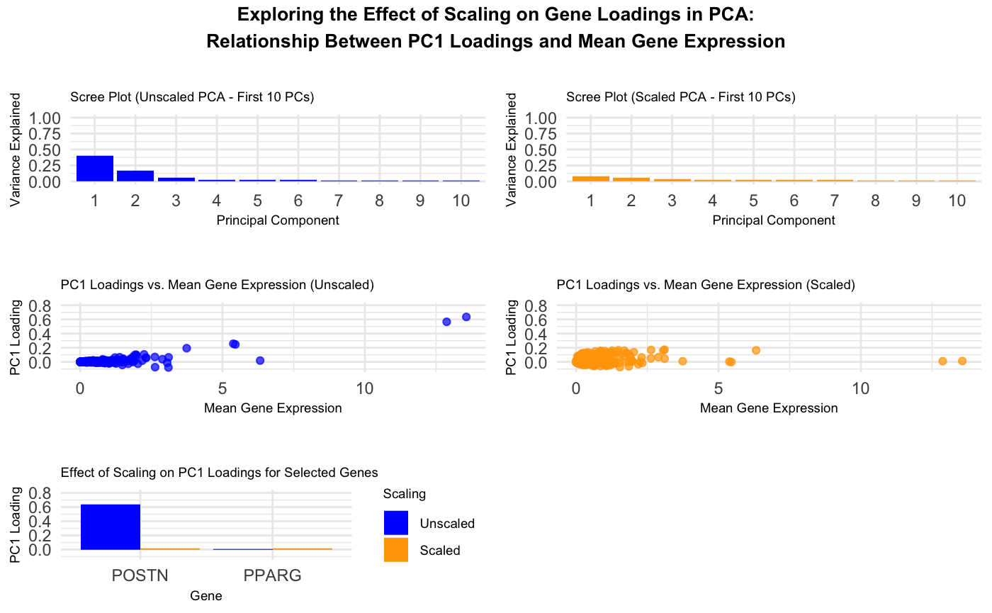 Impact of Scaling on PCA: Relationship Between PC1 Loadings and Gene Expression