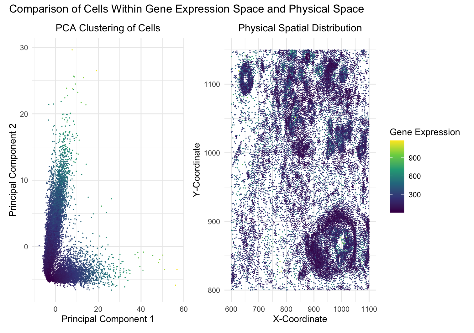 Comparison of Pikachu Cells Within Gene Expression Space and Physical Space