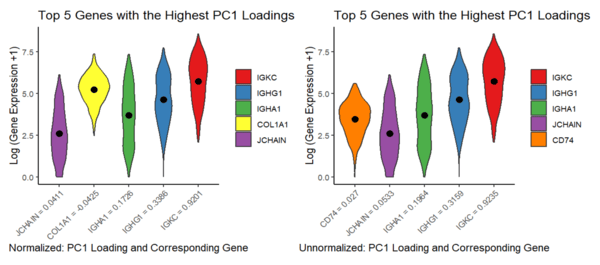 Top 5 Genes with Highest PC1 Loads