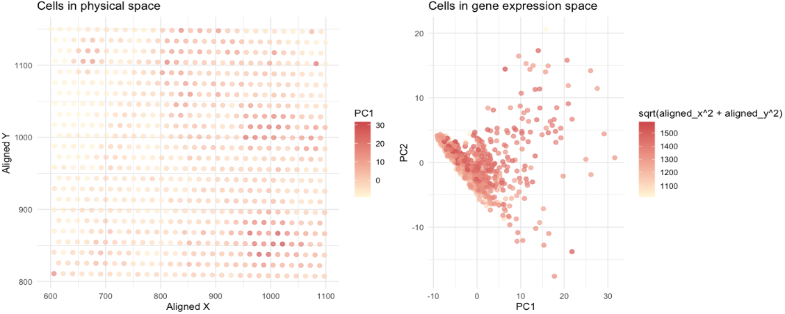 Visualization of cells in physical space vs gene expression space (HW2 for Yi Yang)