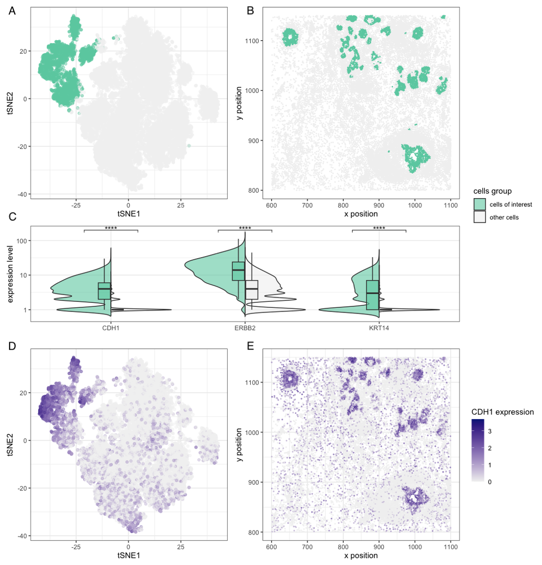 Discovering Epithelial cells