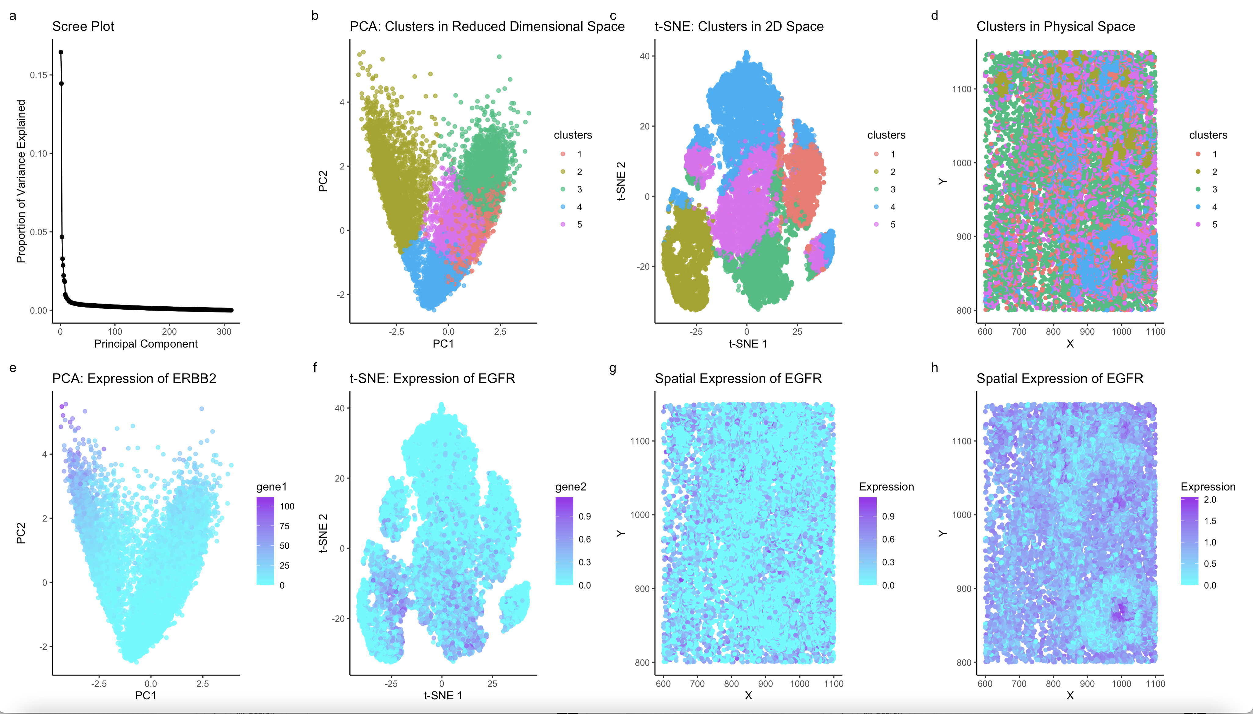 Characterizing transcriptionally distinct cluster of cells