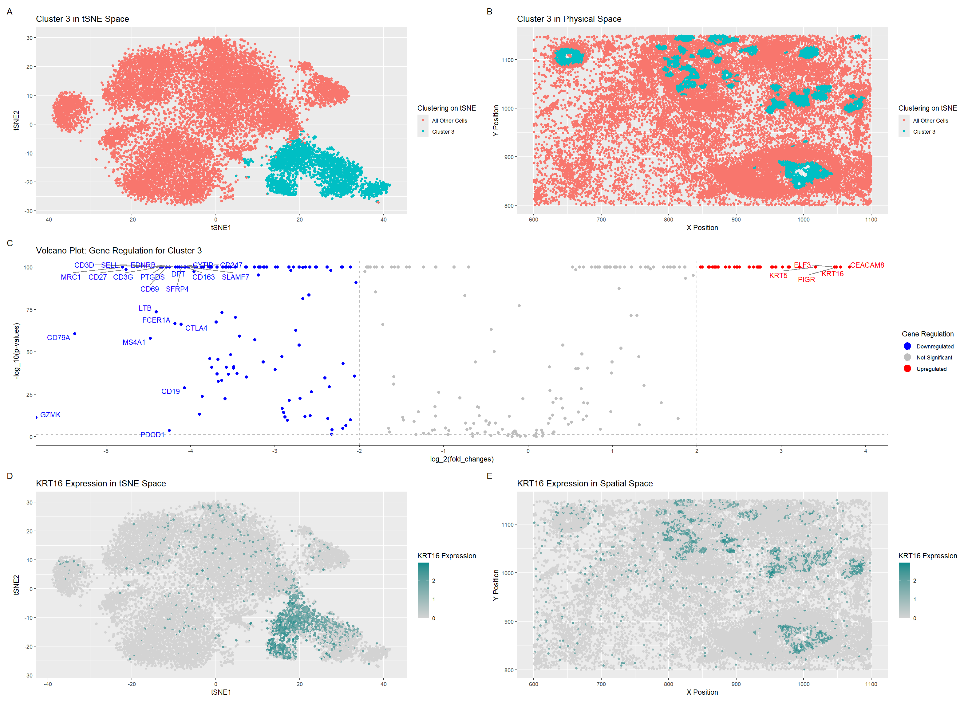 Using PCA and tSNE to visualize an upregulated differentially expressed gene and cluster for cell type annotation