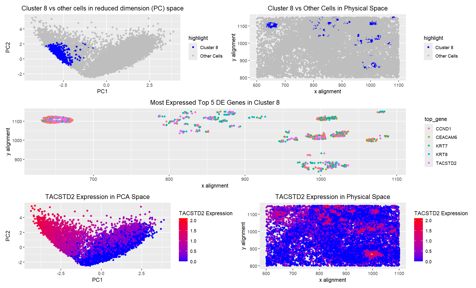 Differential Gene Expression Analysis- TACSTD2