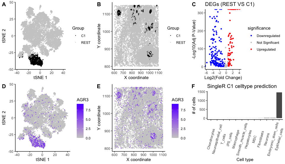 Cluster characterization in spatial transcriptomics