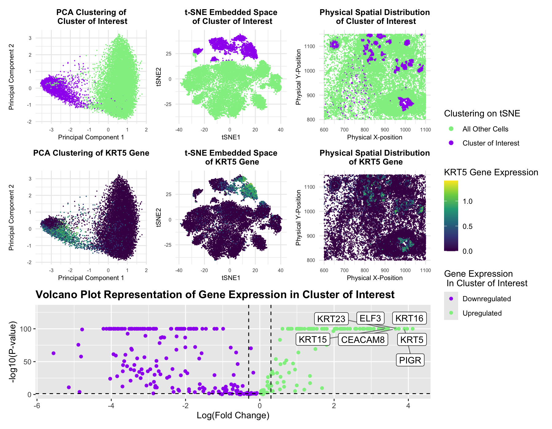 Multi-Panel Data Visualization of Epithelial Cell Cluster in Pikachu Dataset