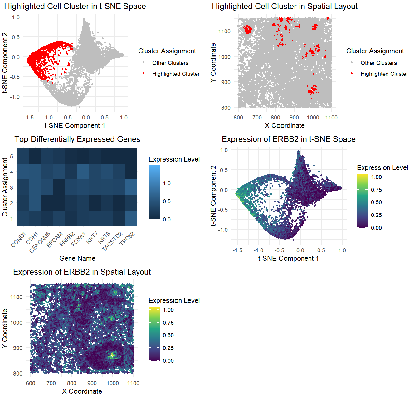 Multi-Panel Data Visualization of Transcriptionally Distinct Cluster