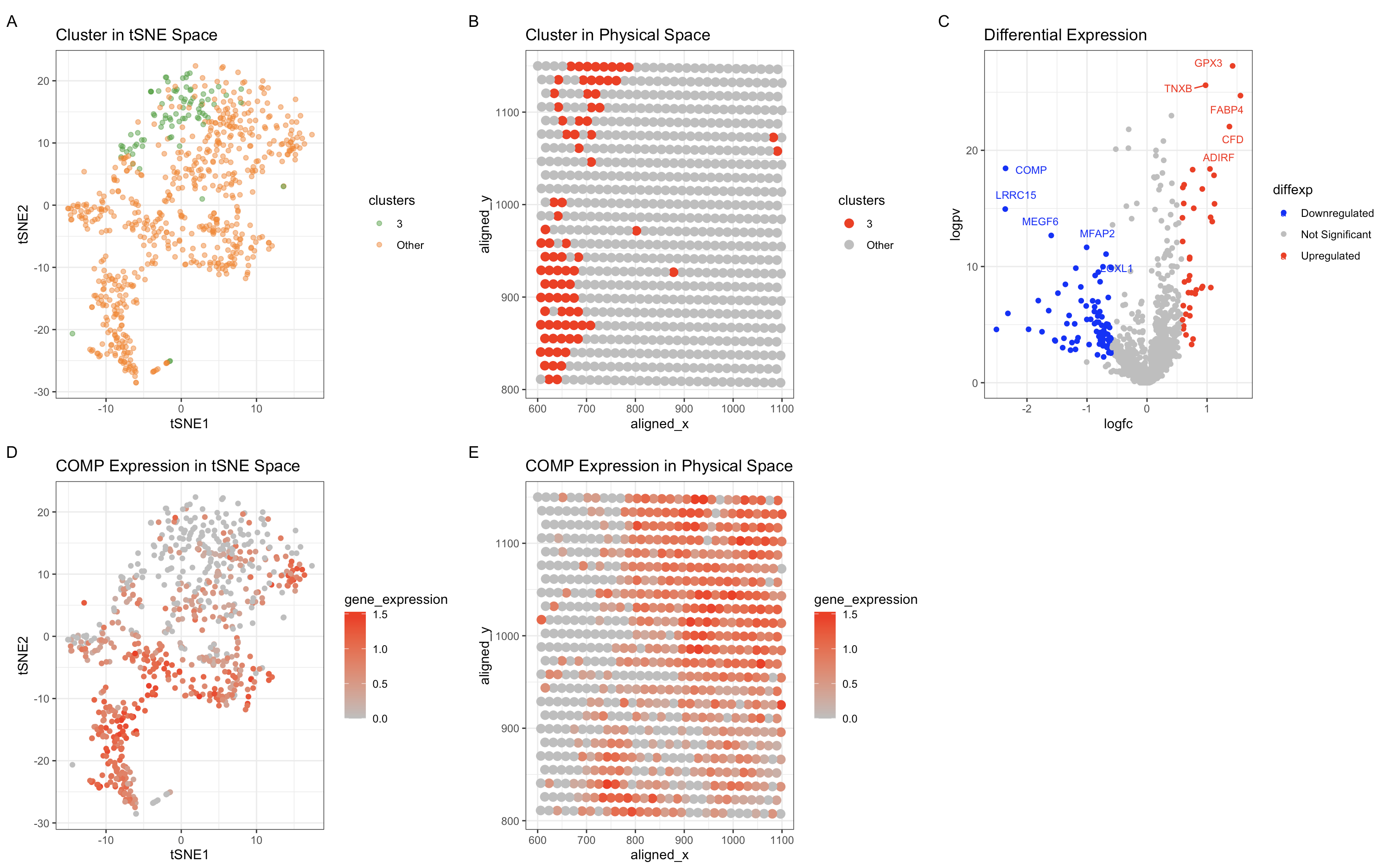 Spatial and Transcriptomic Characterization of a Fibroblast-to-Adipocyte Transition Cell Population