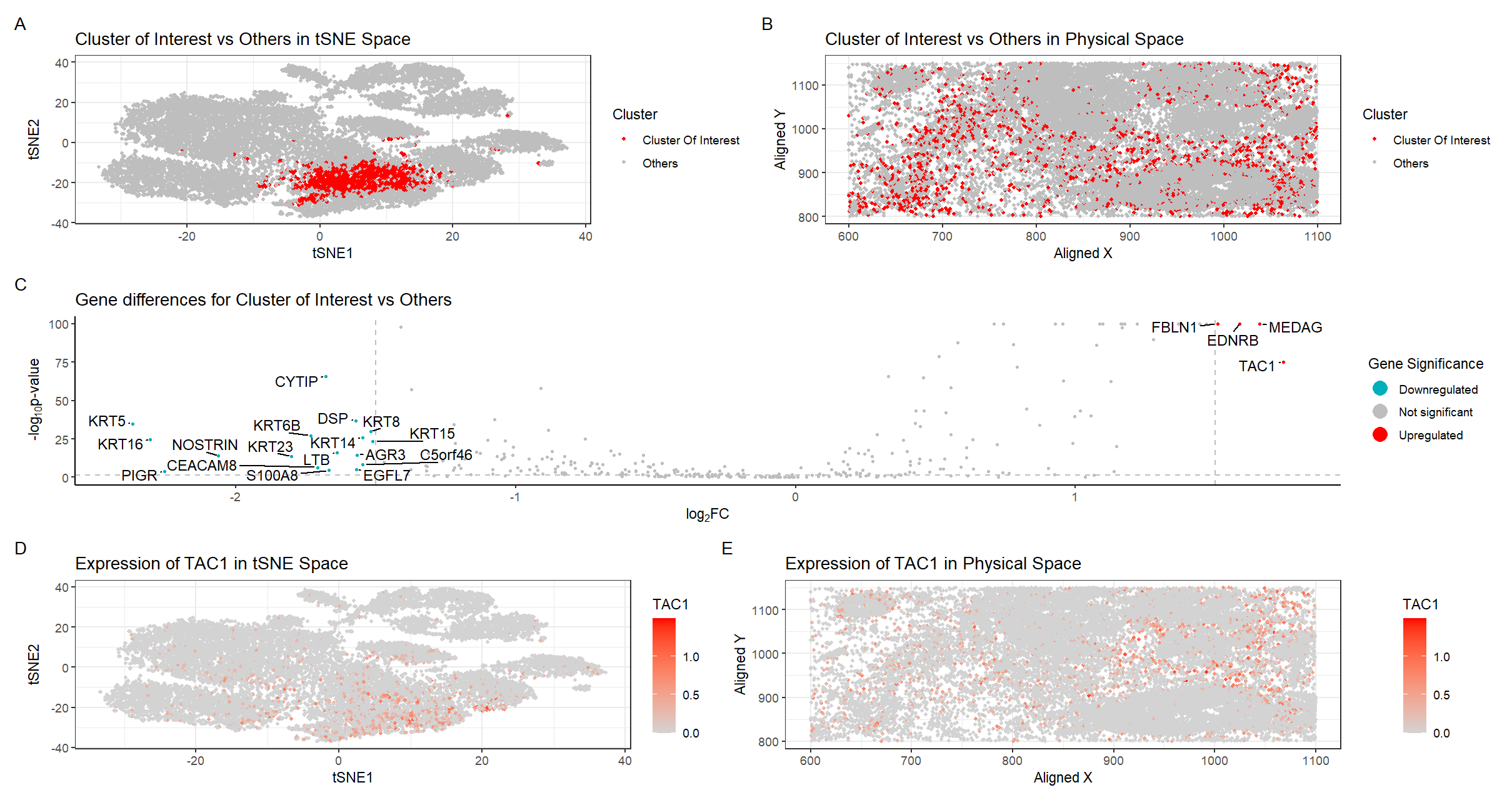 Locating fibroblasts in breast tissue using spatial transcriptomics data