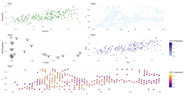 HW3 Data Exploration - Cluster 3 and CCN1 Gene