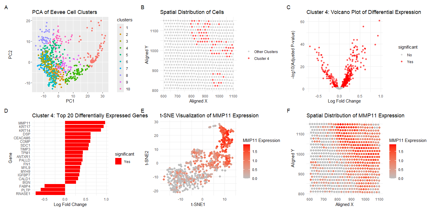 Analyzing MMP11 Gene Expression