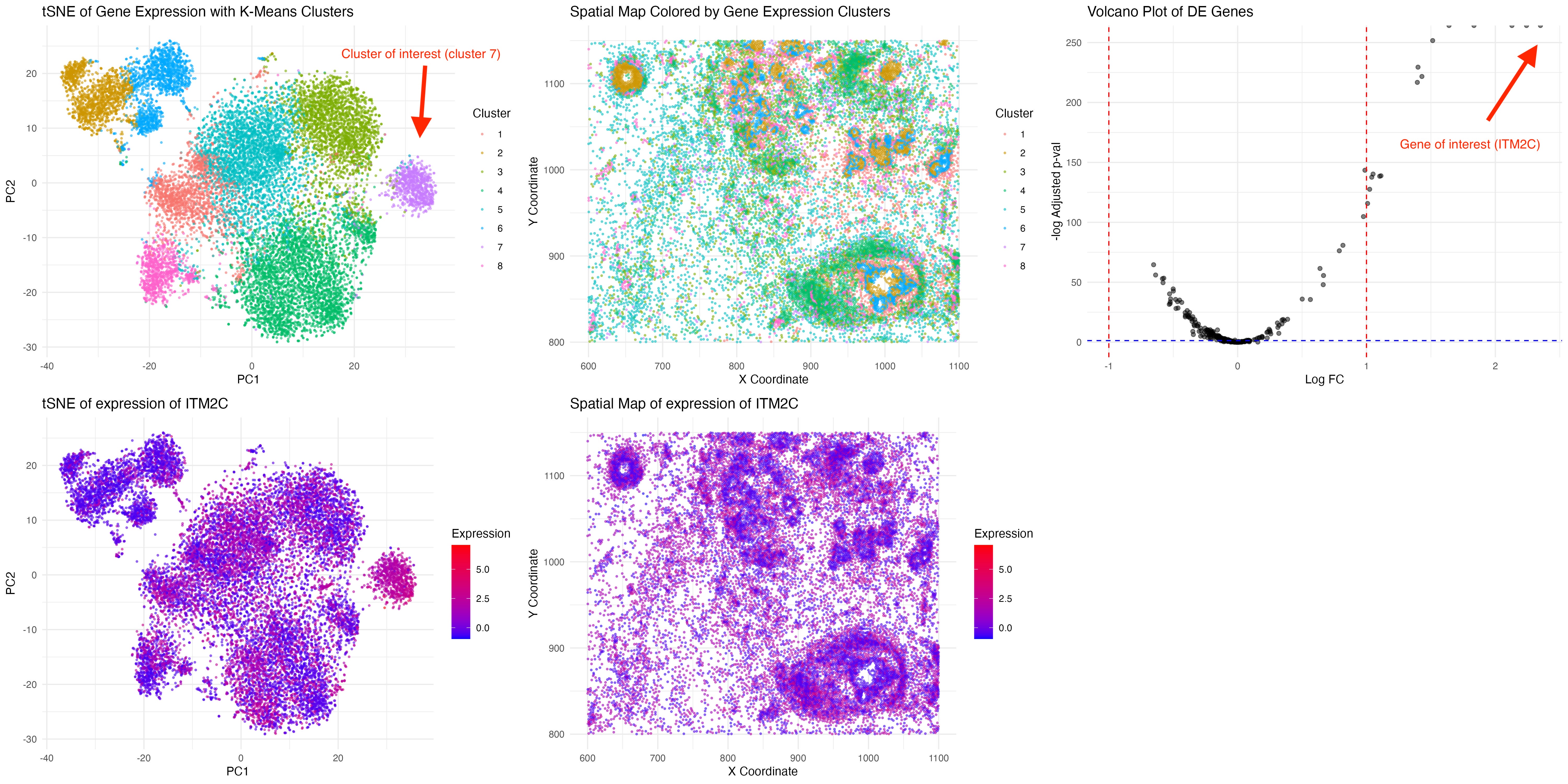 Cell types characterization