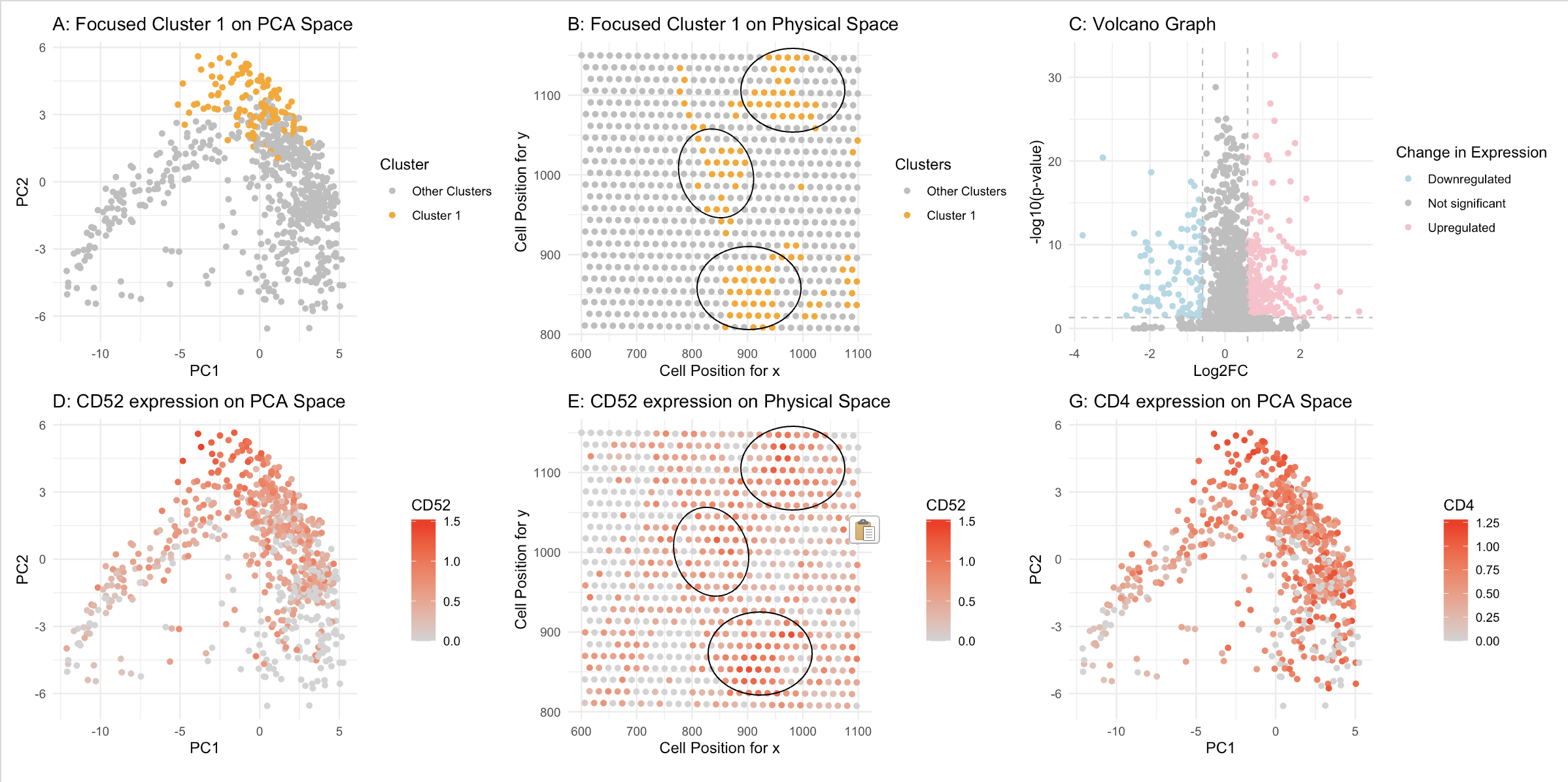 HW3: Exploring Cell Type with Differentially upregulated CD52