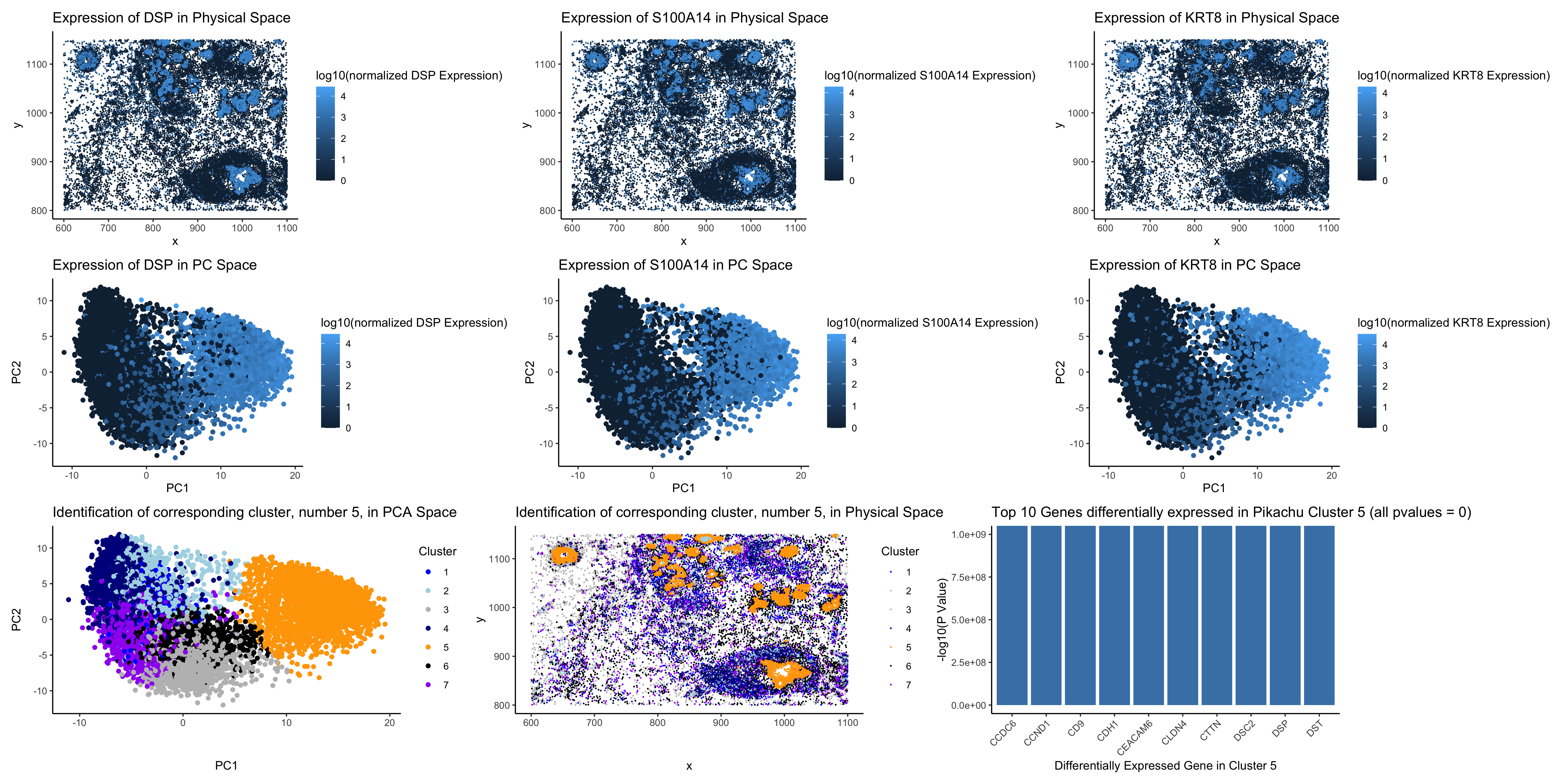 Identifying the Same Cluster of Breast Granular Cells in the Pikachu Dataset