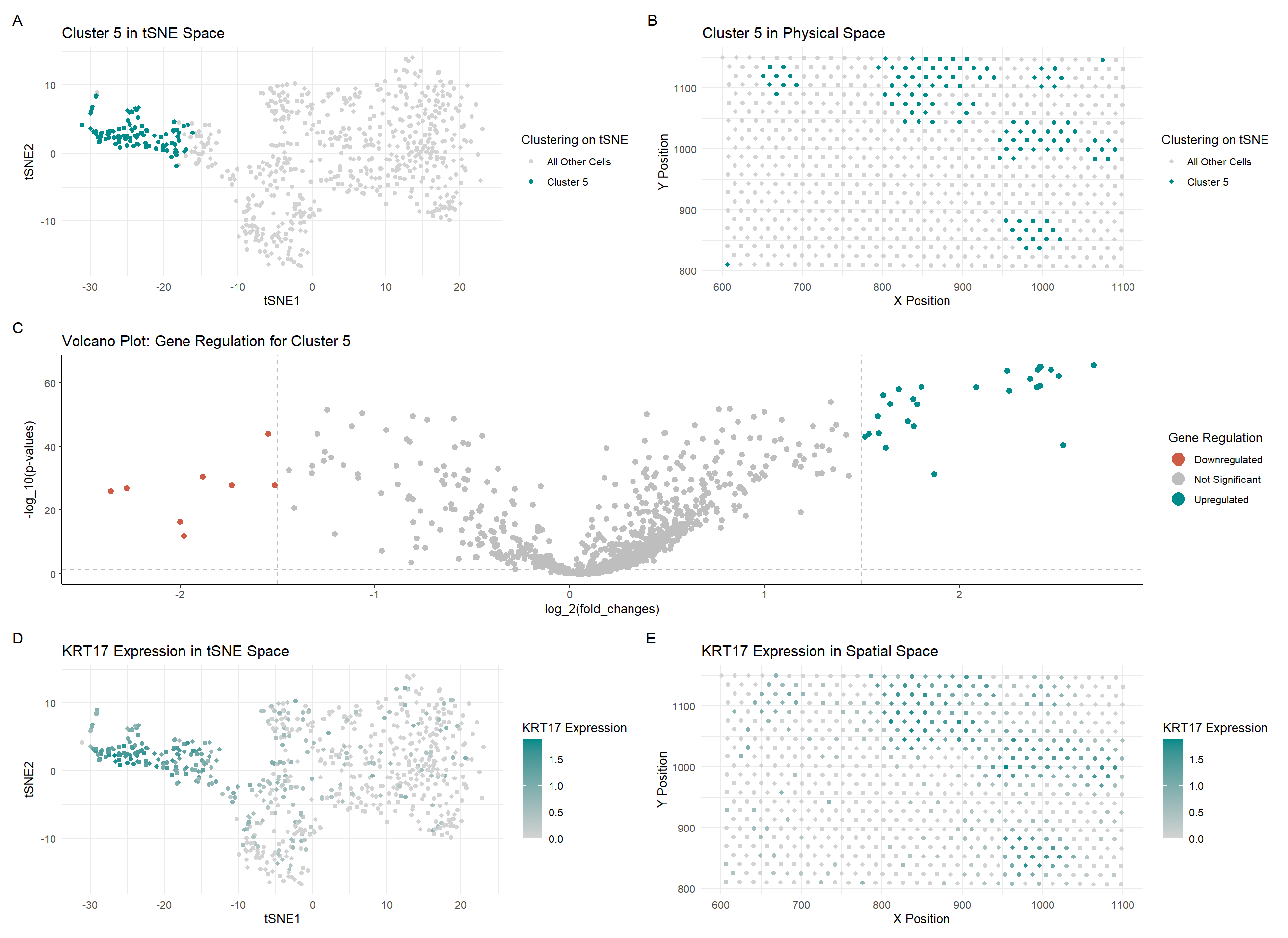 Switching to the Eevee Dataset! (and Identifying Differentially Expressed Genes to Annotate a Specific Cell Type)