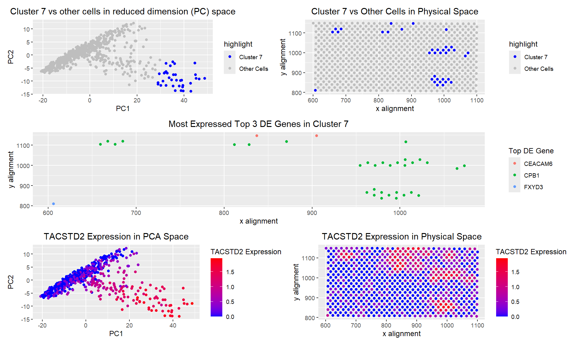 Differential Gene Expression Analysis- Eevee vs. Pikachu