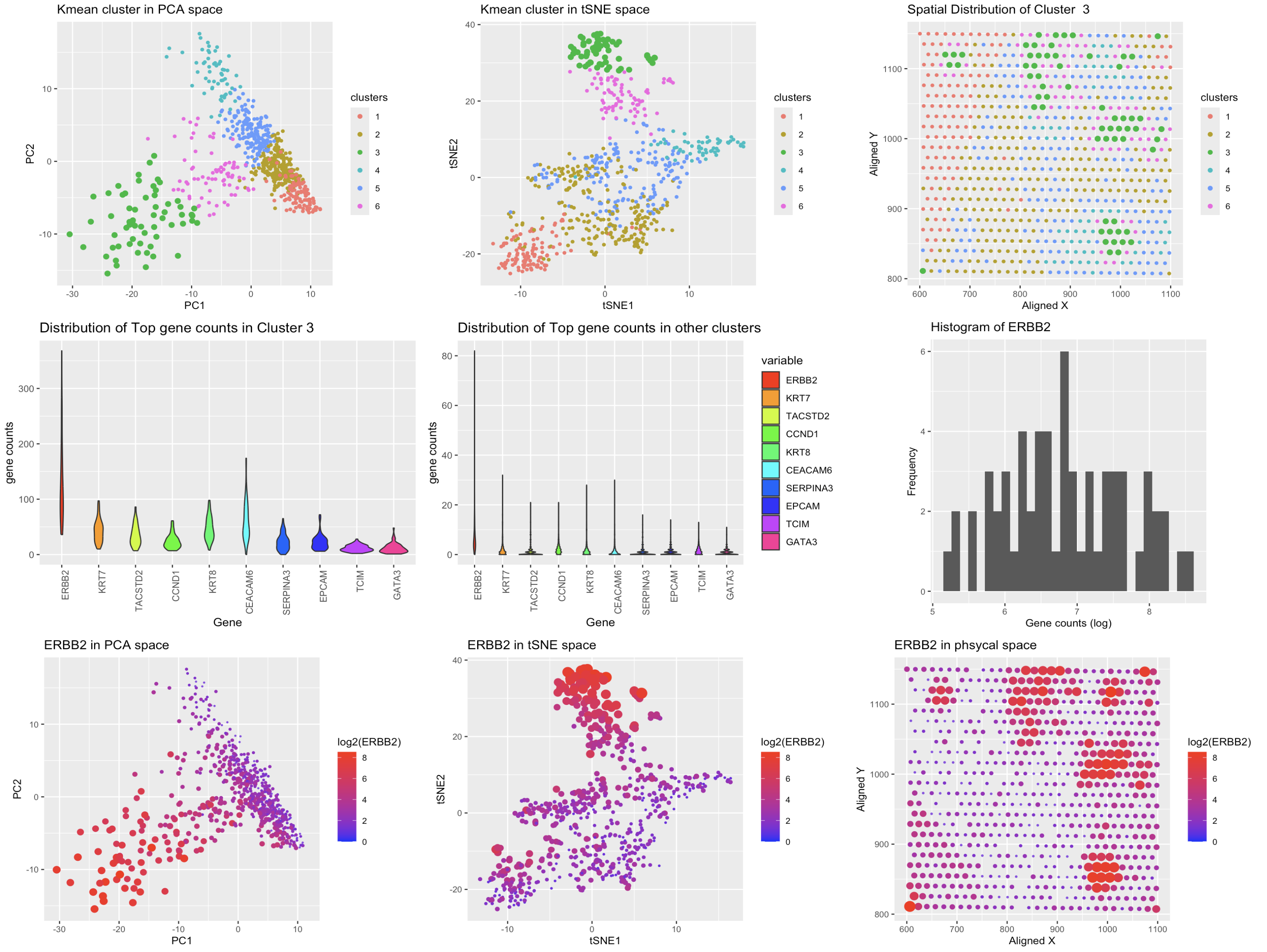 HW4: Finding the same cell type in Eevee data