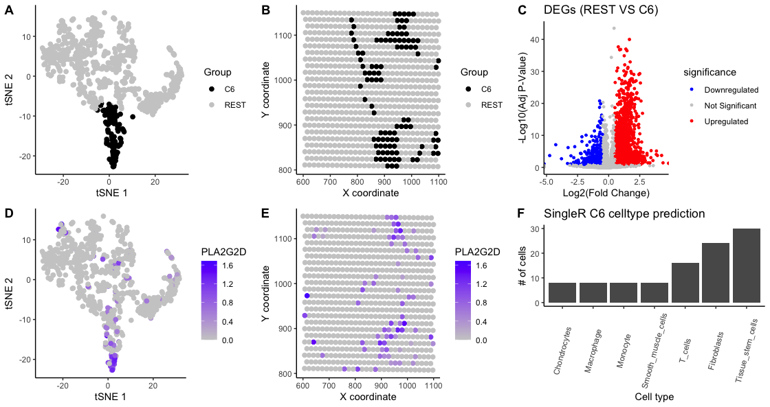 Cluster characterization in sequencing-based spatial transcriptomics