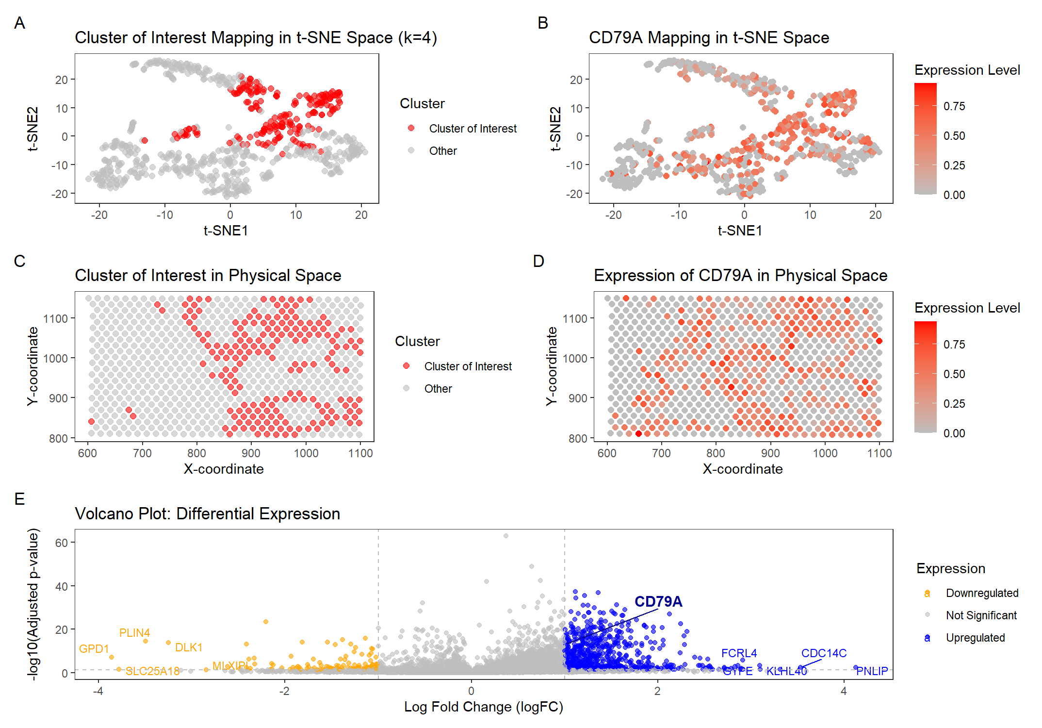 Identifying and Characterizing B Cell Populations Using Clustering and Differential Expression Analysis