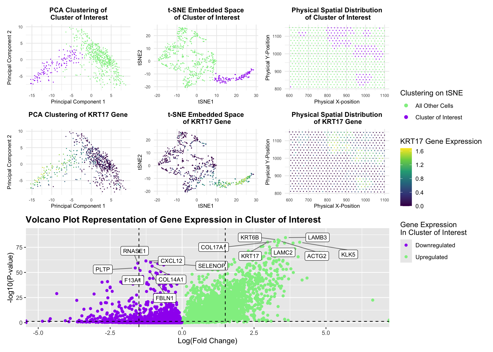 Multi-Panel Data Visualization of Epithelial Cell Cluster in Eevee Dataset