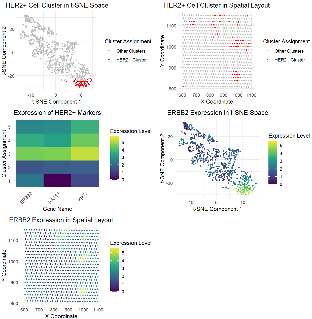 Multi-dimensional Analysis of HER2+ Cells: Spatial Distribution and Gene Expression Patterns