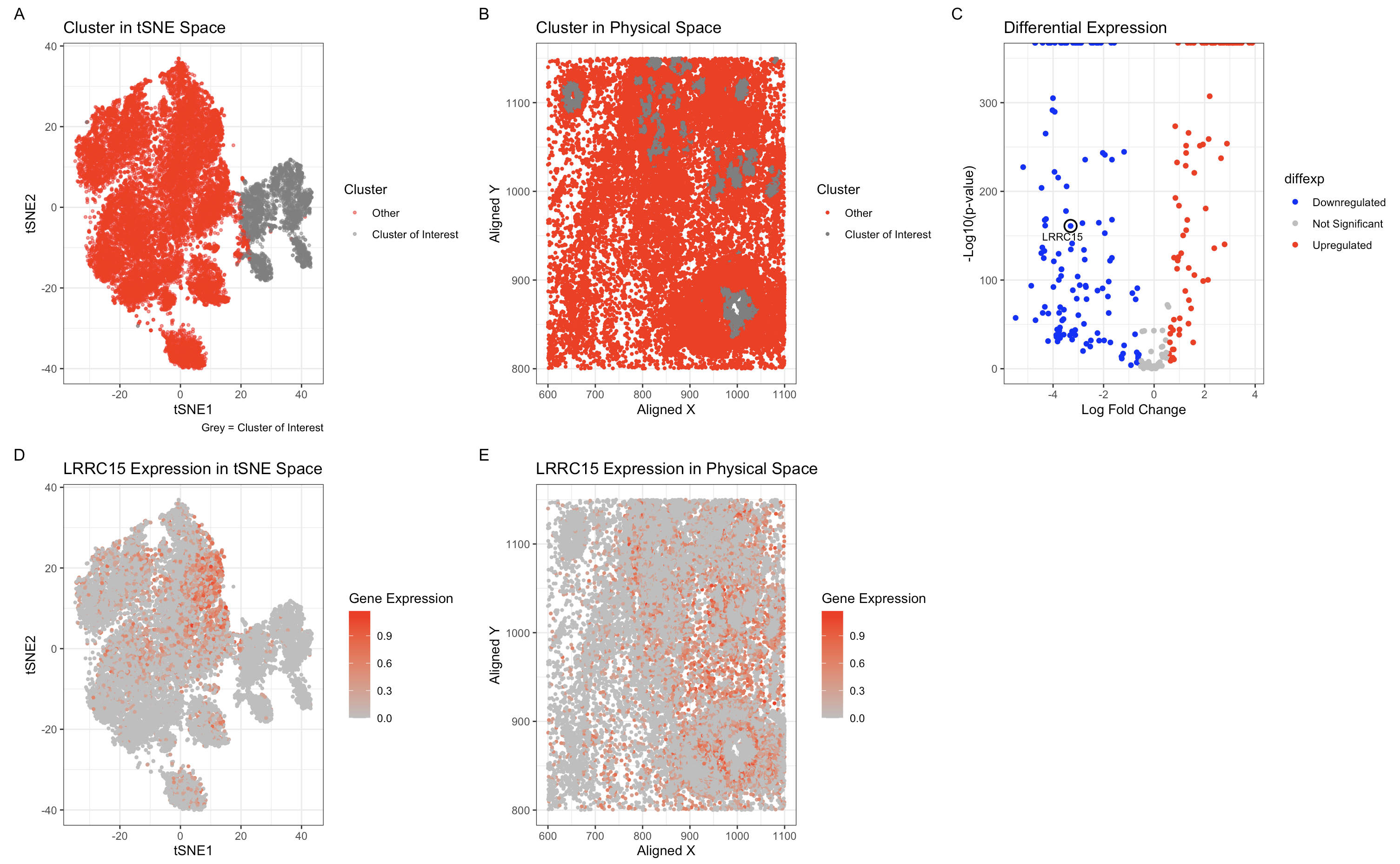 Identifying a Transcriptionally Similar Cell Type Across Datasets: Clustering and Differential Expression Analysis