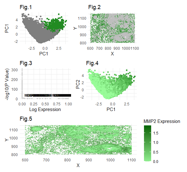 HW4 Data Exploration - Cluster 4 and MMP2 Gene