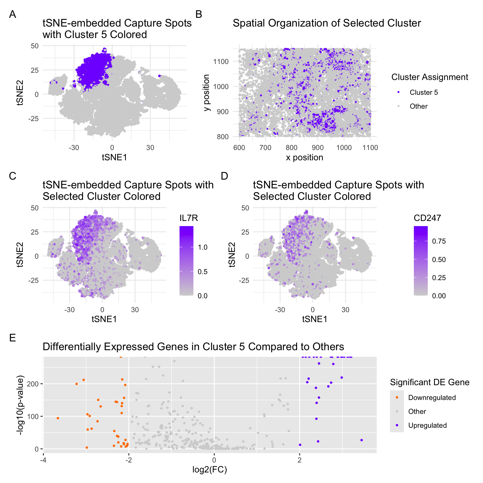 Validating Sequencing-based 10x Visium Identification of T Cell Population with Imaging-Based Spatial Transcriptomics 