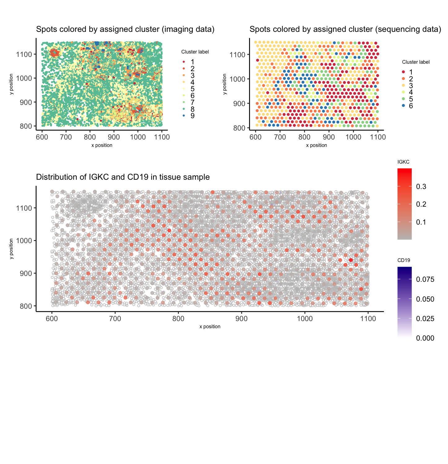 Identifying B cell markers in imaging dataset