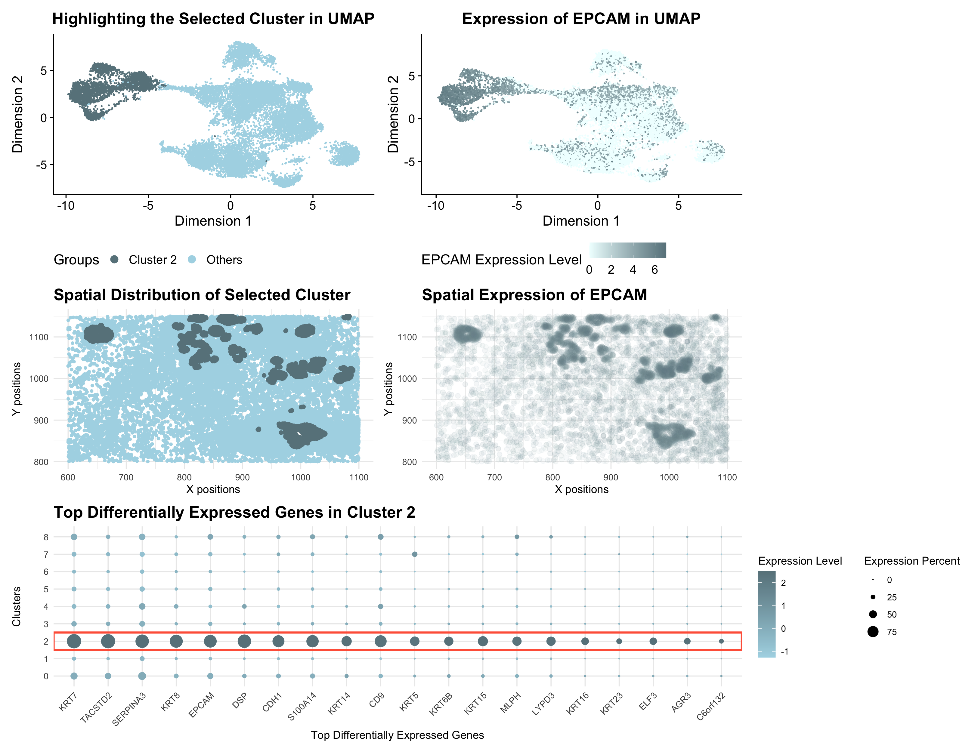 Identifying Epithelial cells in both datasets