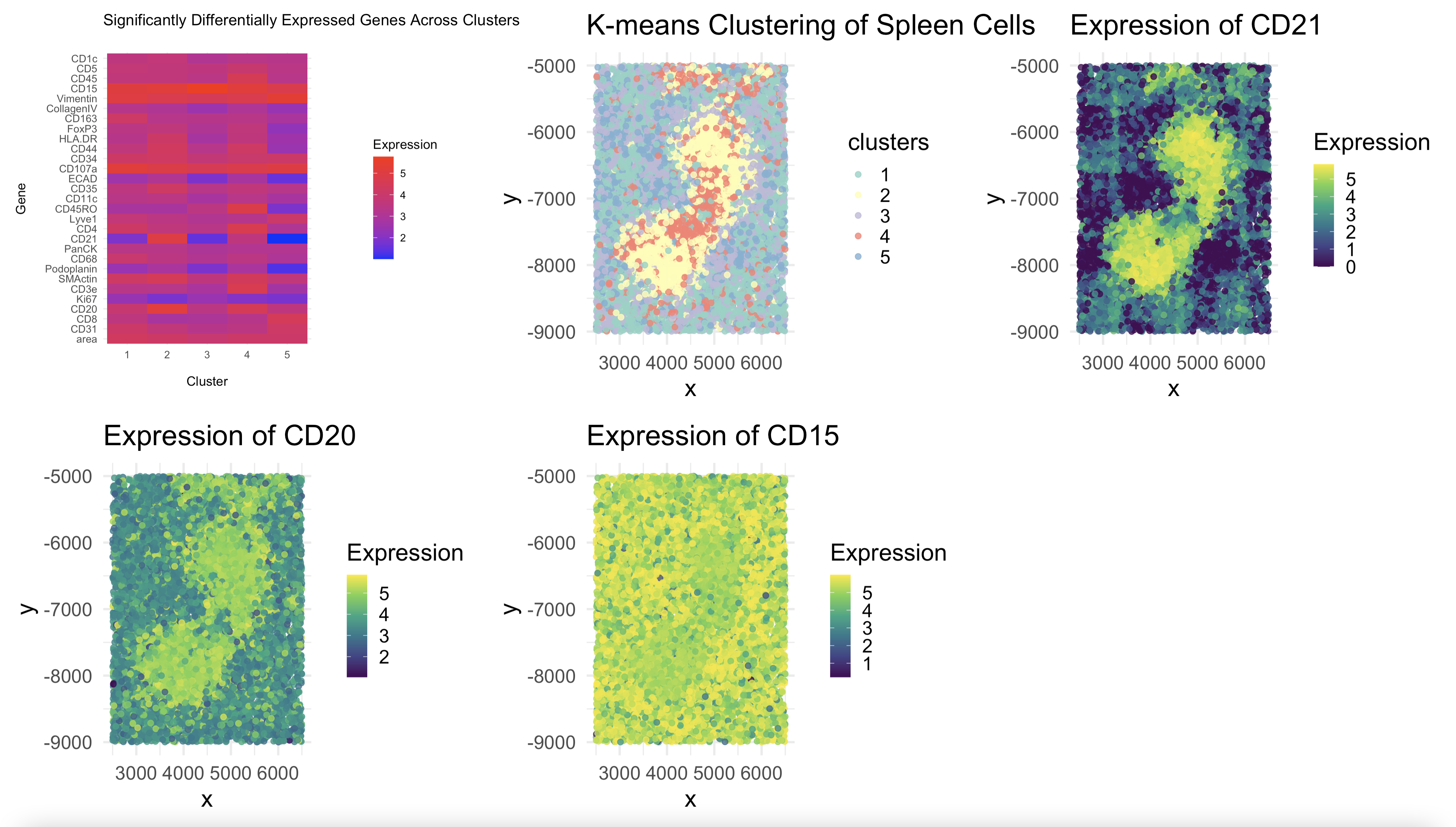 Deducing tissue structure in CODEX dataset