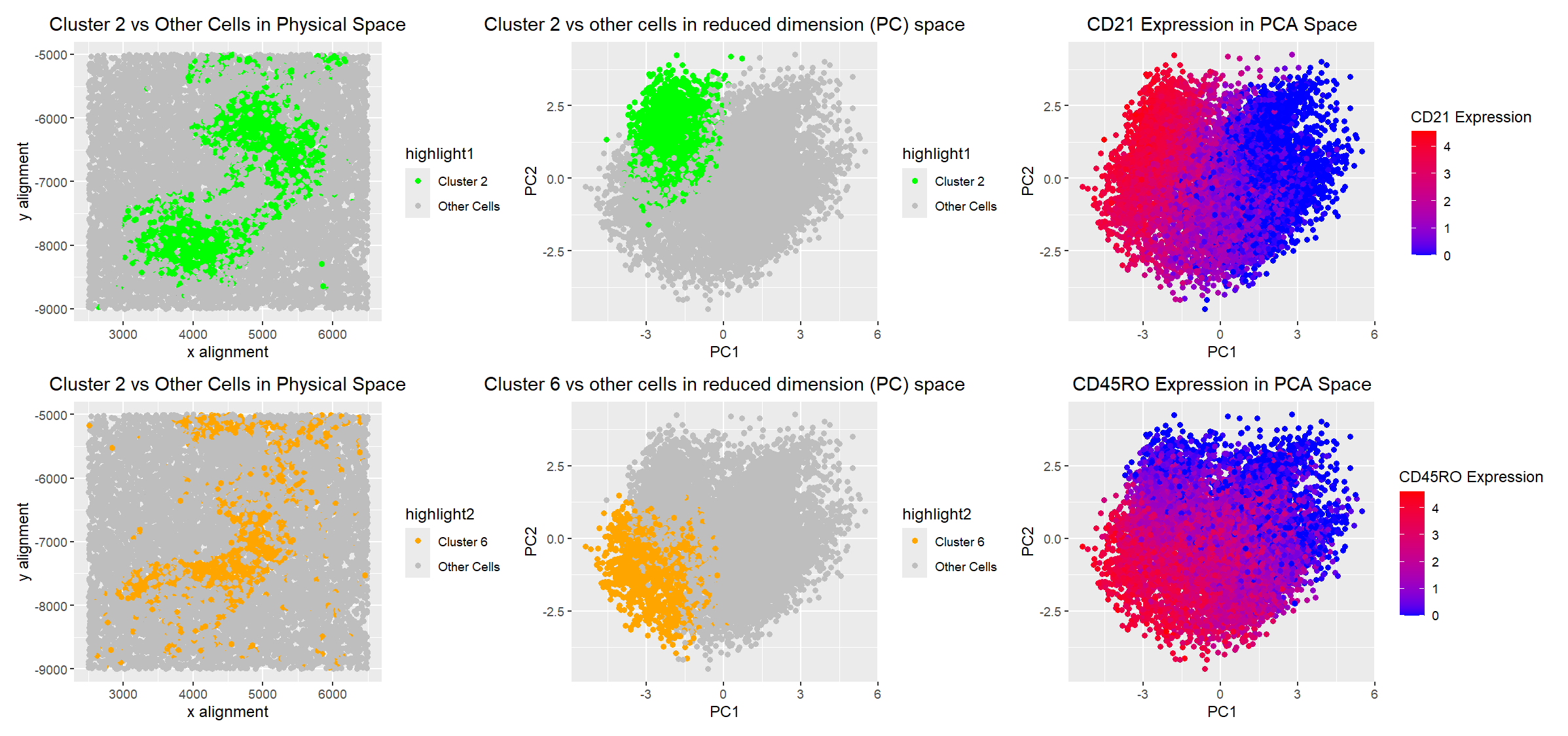 B and T cells in spleen data