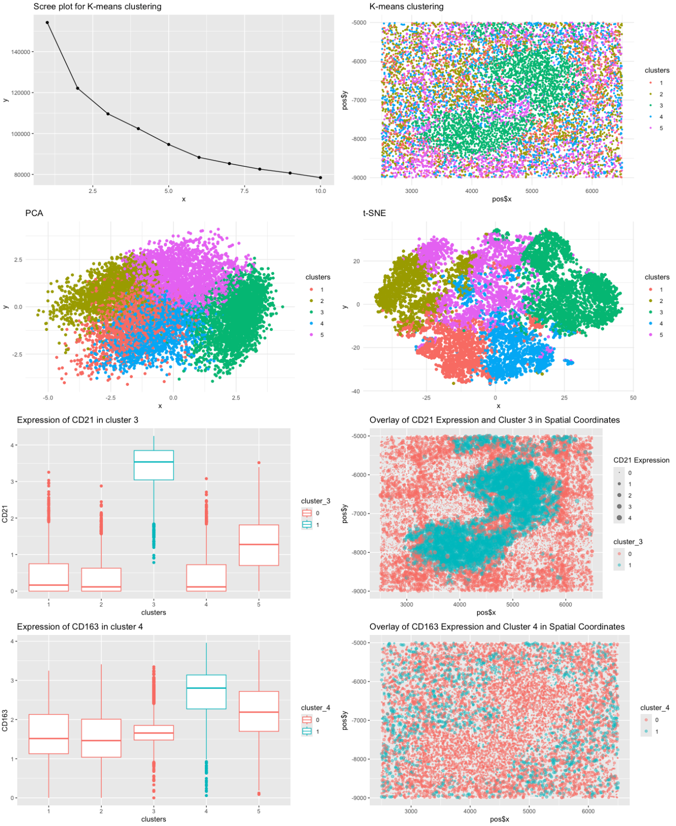 HW5: Identifying Cell Types in Spleen