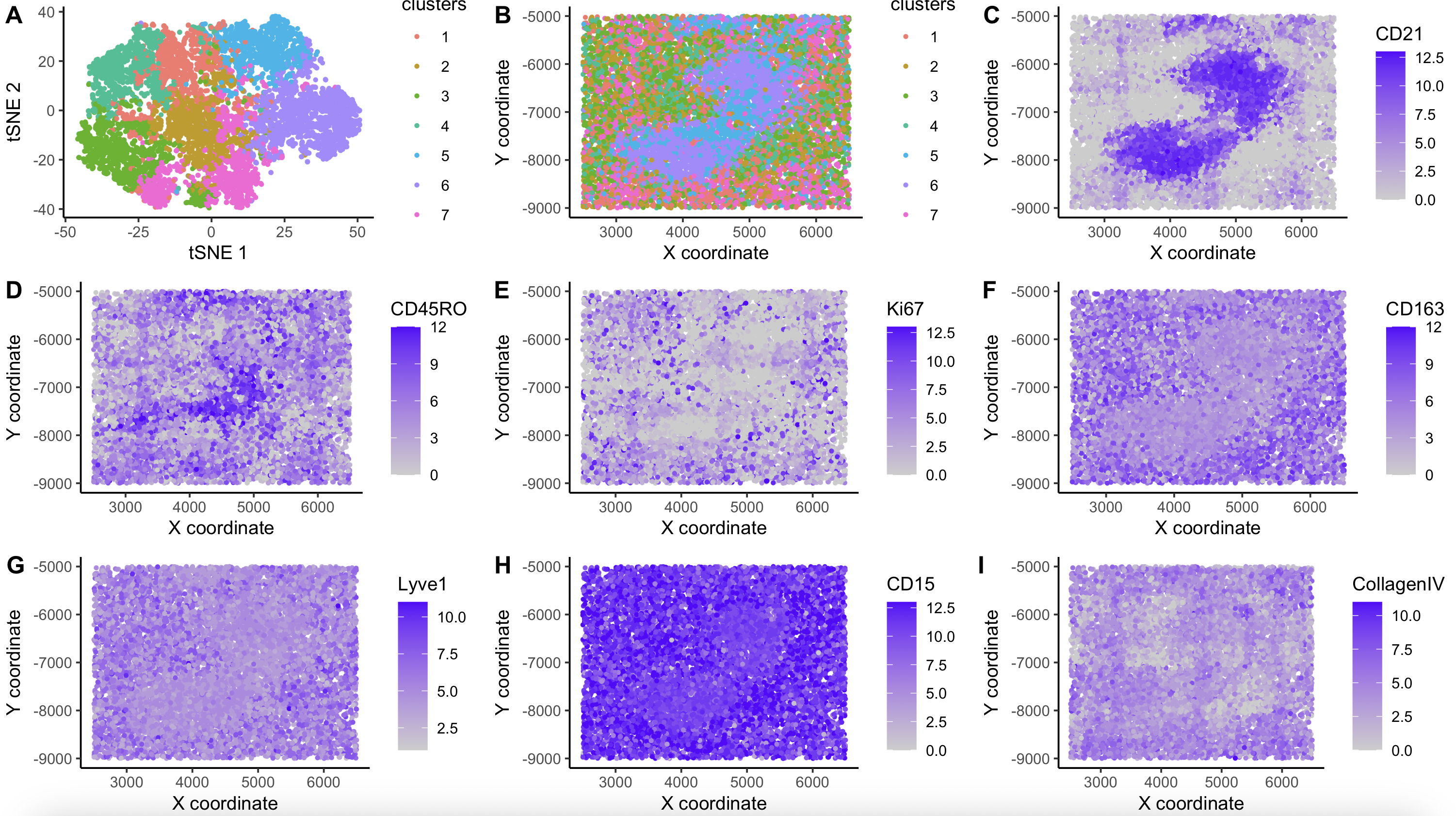 Cluster characterization in sequencing-based spatial transcriptomics