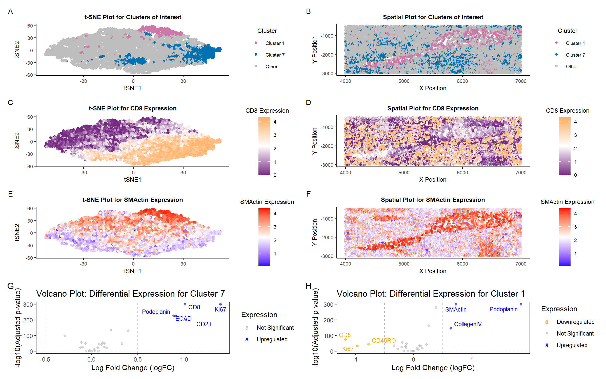 Clustering and Spatial Analysis of CODEX Tissue Types