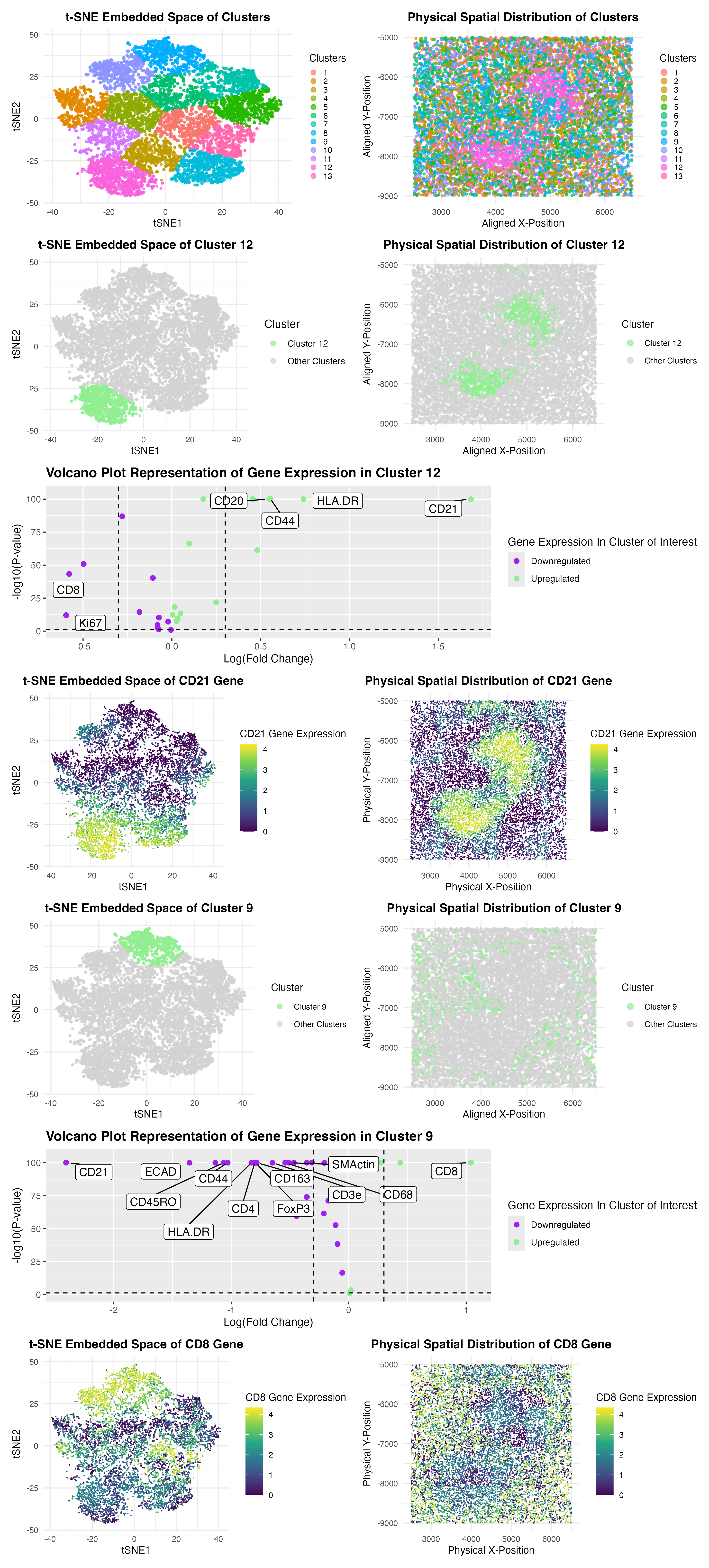 Multi-Panel Data Visualization of CODEX Spleen Data