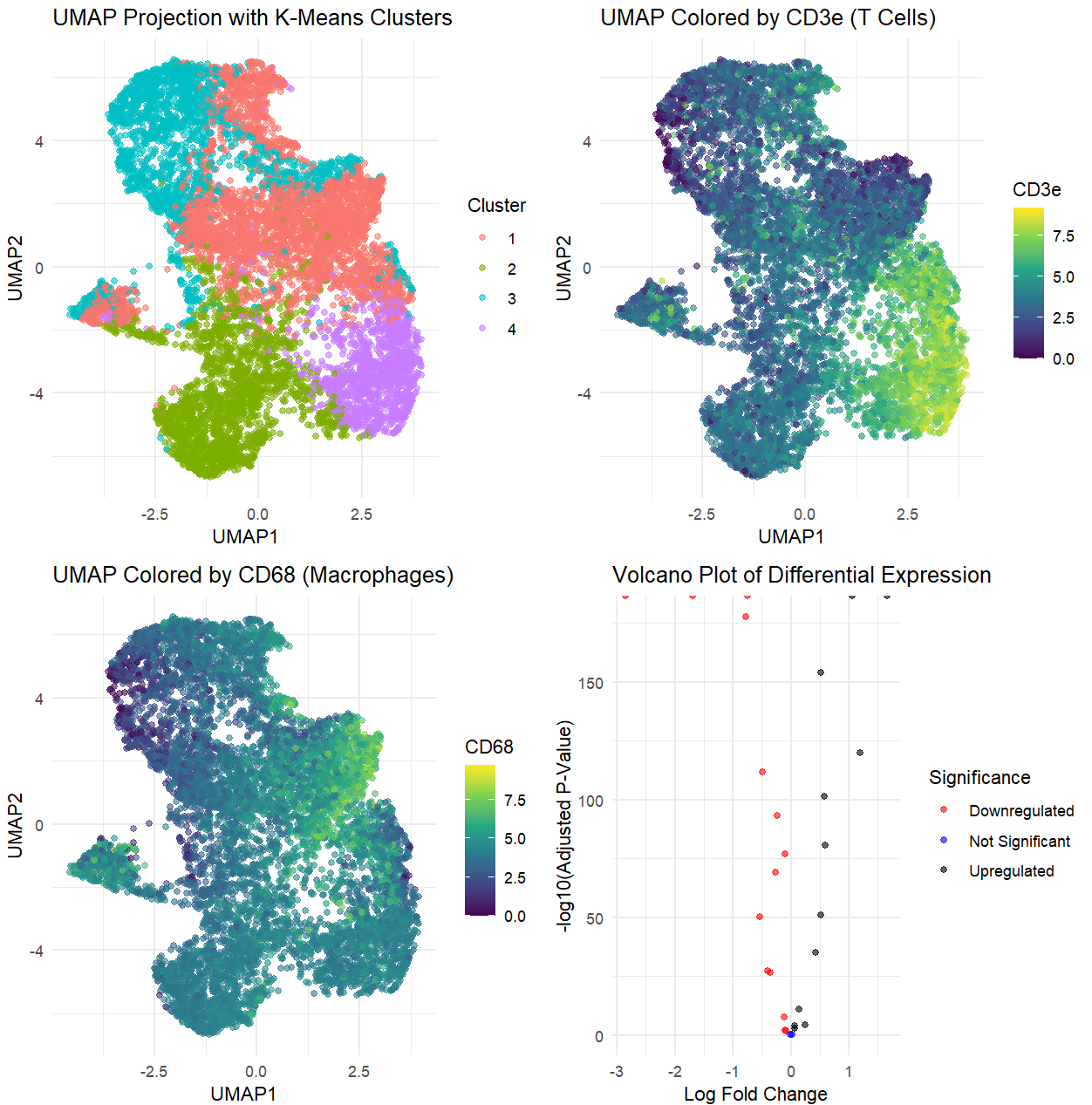 Identification of White Pulp in CODEX Spleen Data Through Immune Cell Profiling