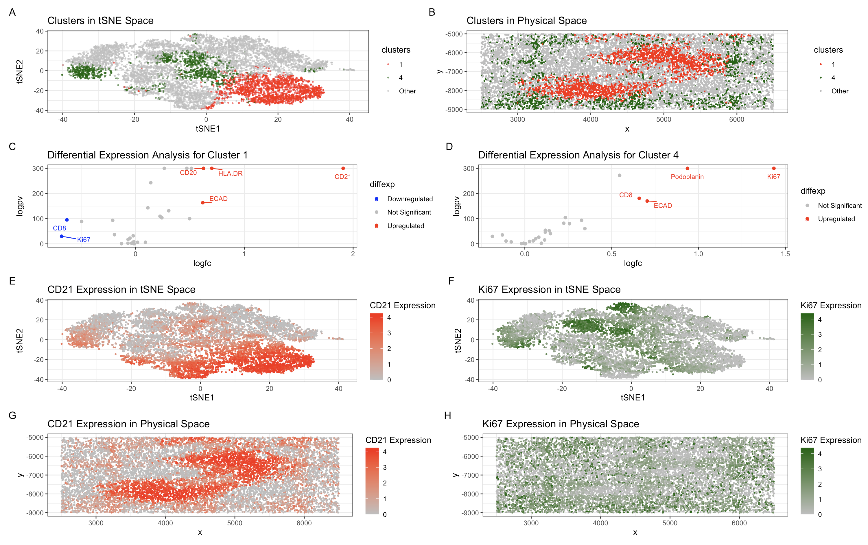 Analysis of Cellular Clusters and Marker Expression in the CODEX Dataset