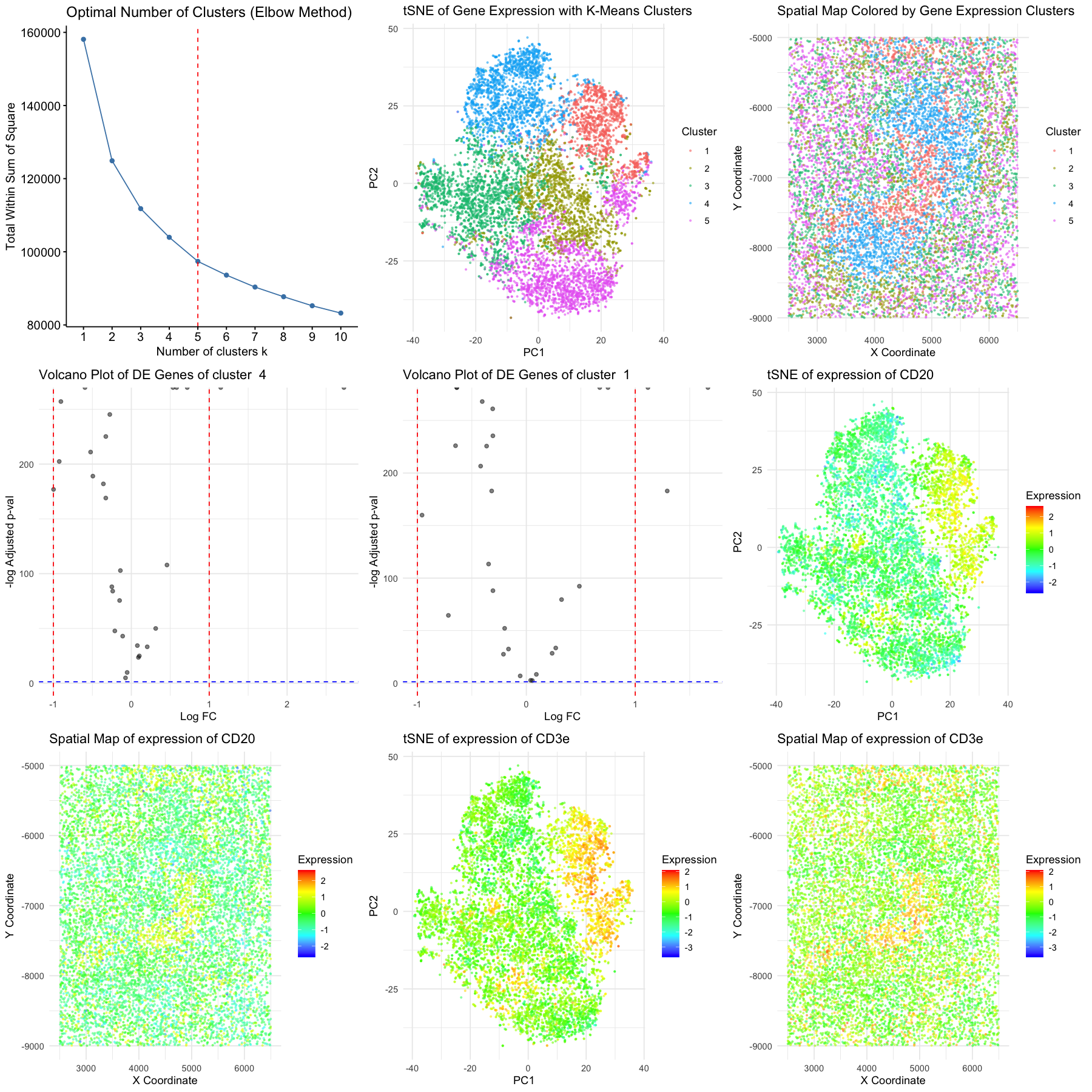 CODEX dataset analysis