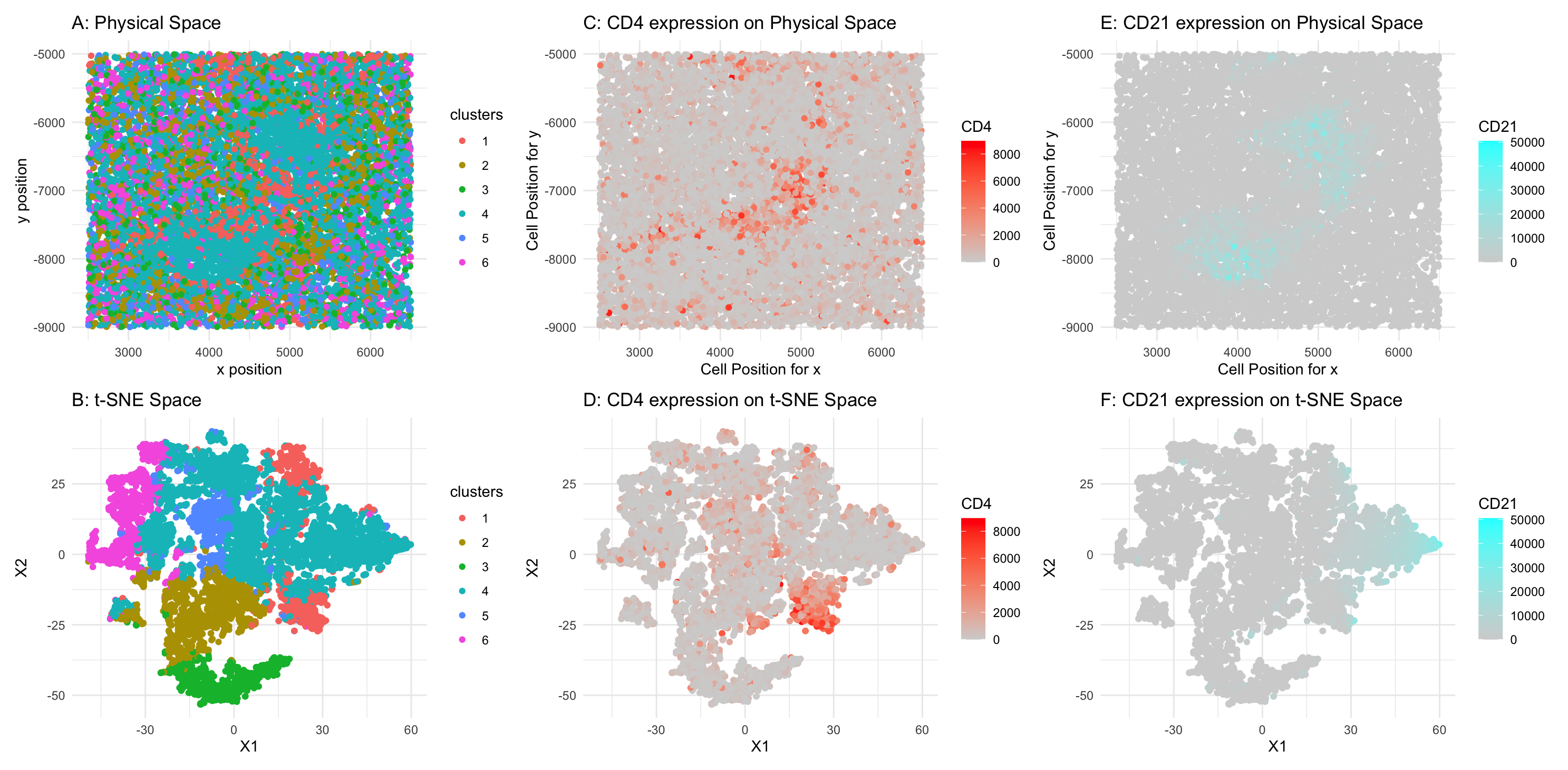 HW5: Identifying Cell Types and Tissue Structures in CODEX data