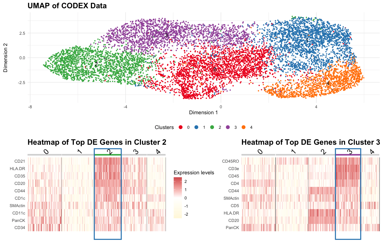 Identifying cell types in COSEX dataset