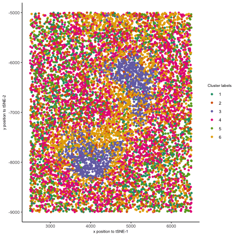 Animating the tSNE embedding of CODEX spleen dataset