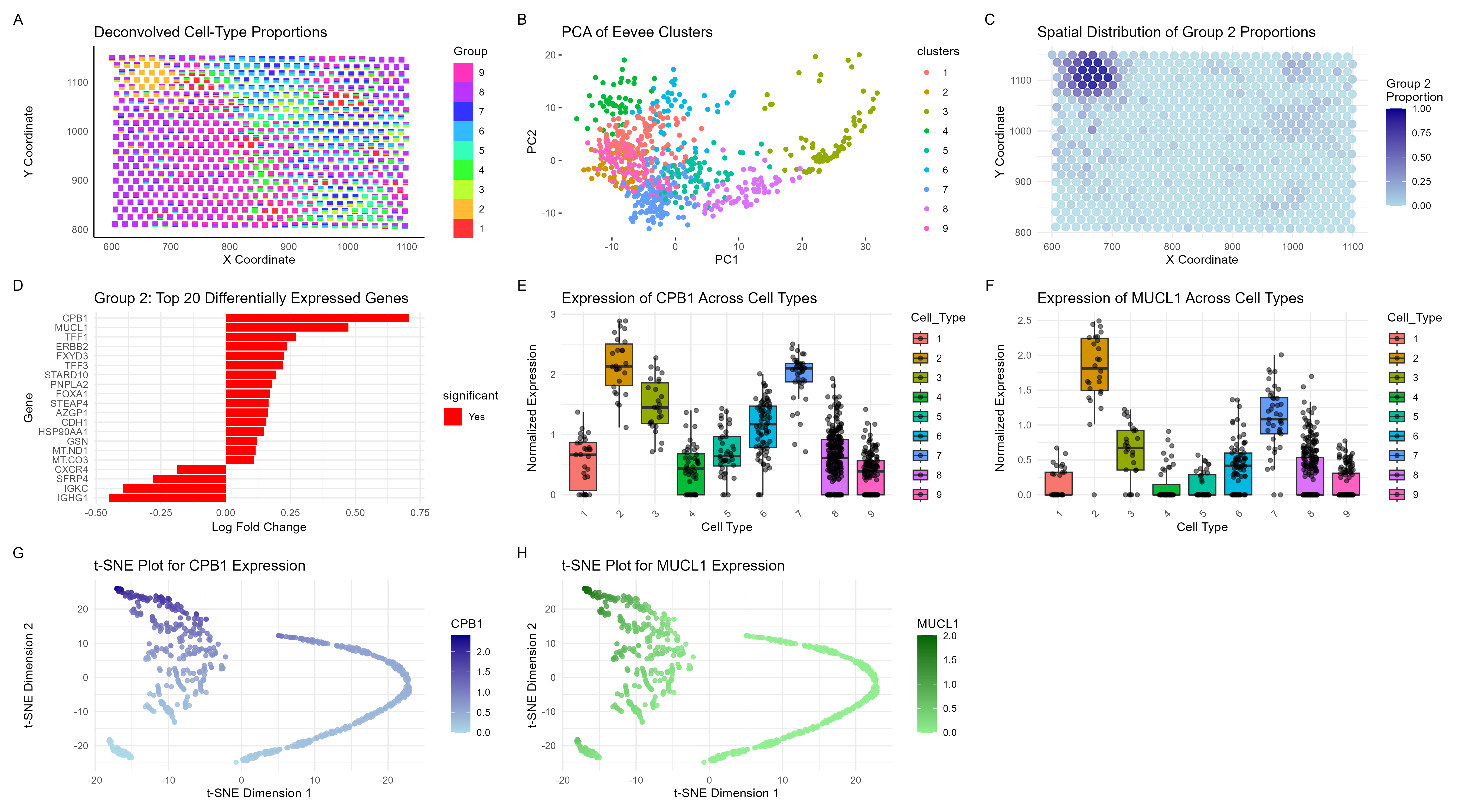 Eevee Dataset Deconvolution and Cell-type Analysis