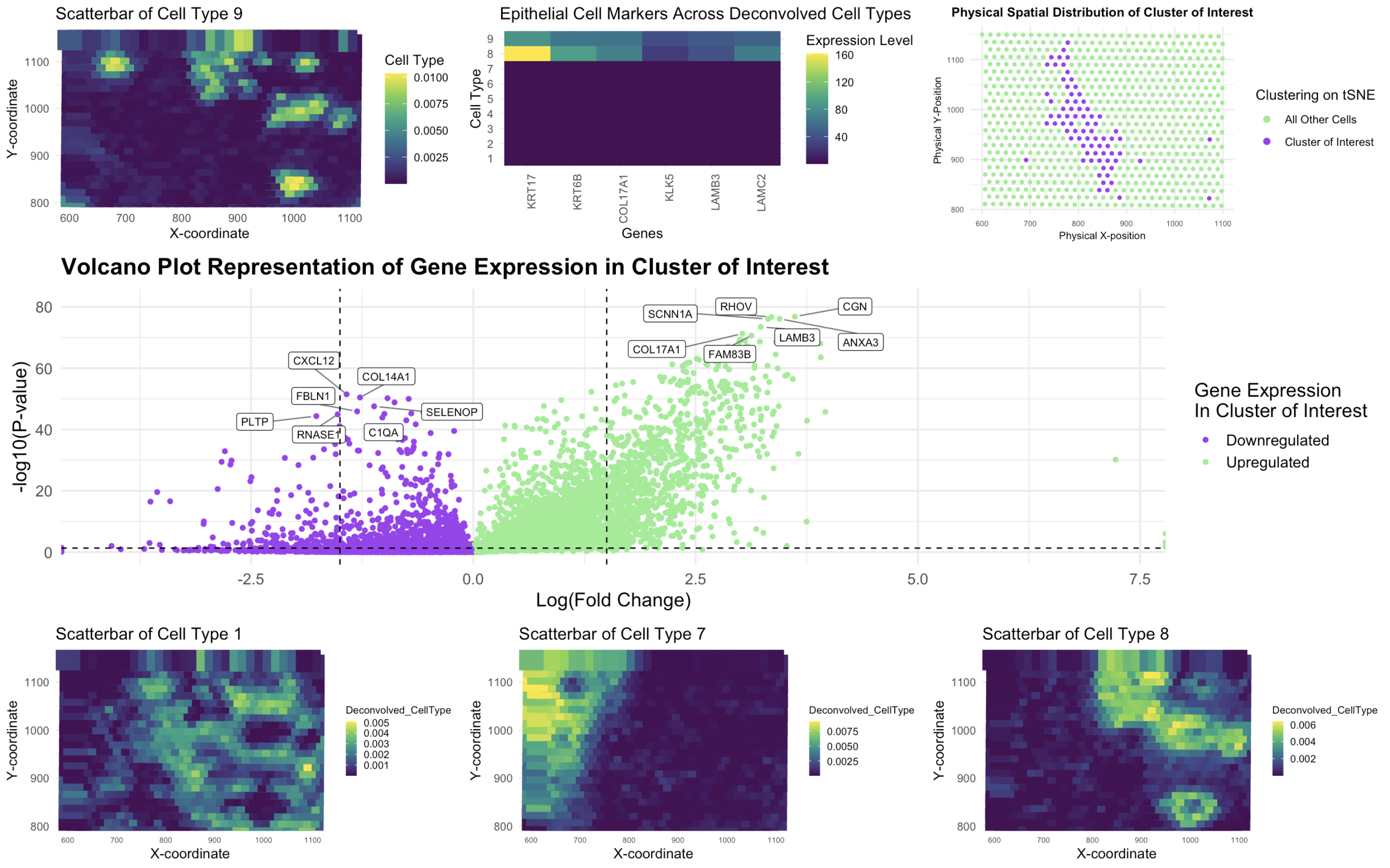 Deconvolution of Eevee Dataset for Identification of the Epithelial Cell Type
