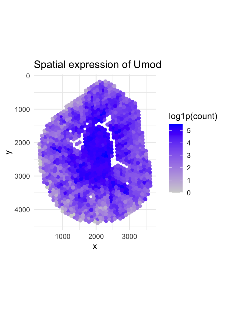 Spatial Visualization of Gene Expression Across Tissue
