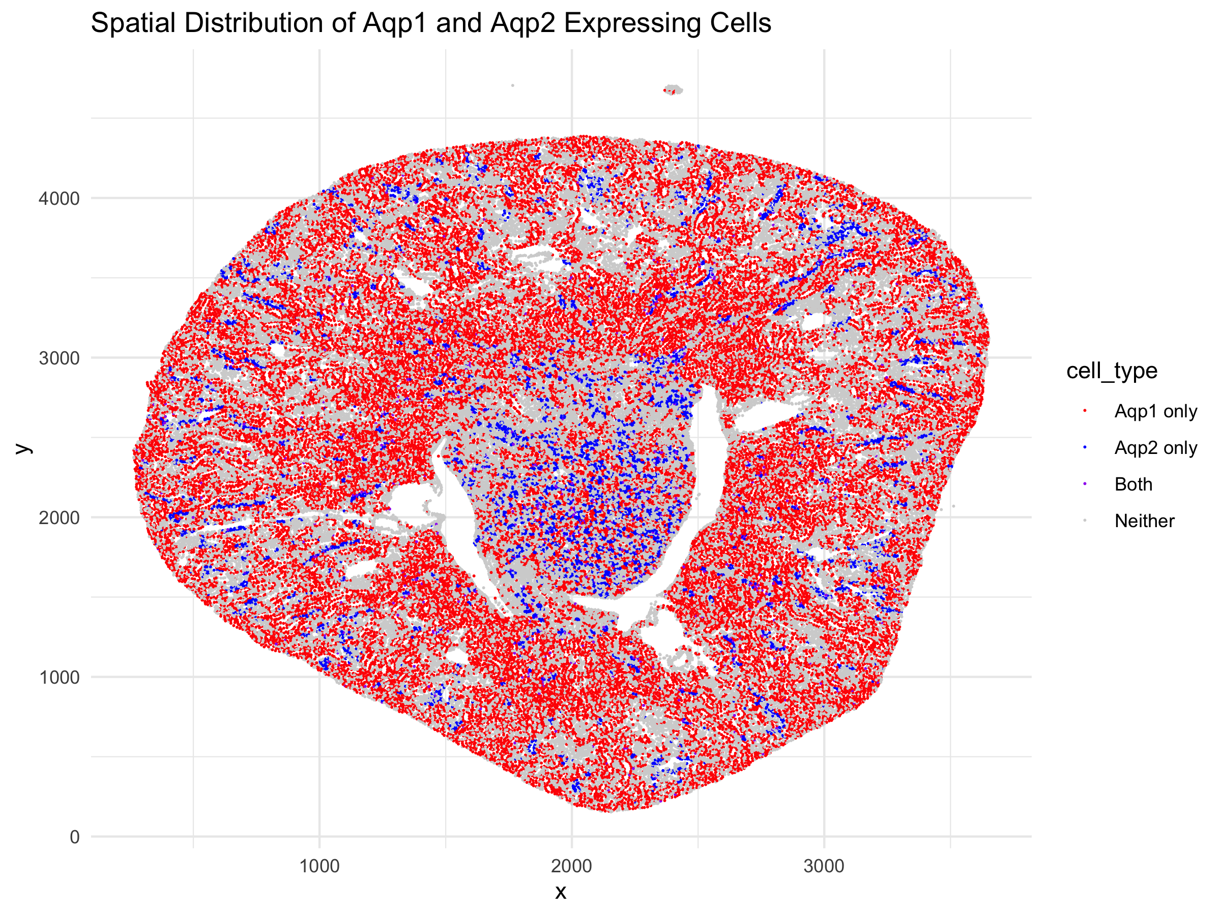 HW 1 Spatial Distribution of Aqp1 and Aqp2 Expressing Cells
