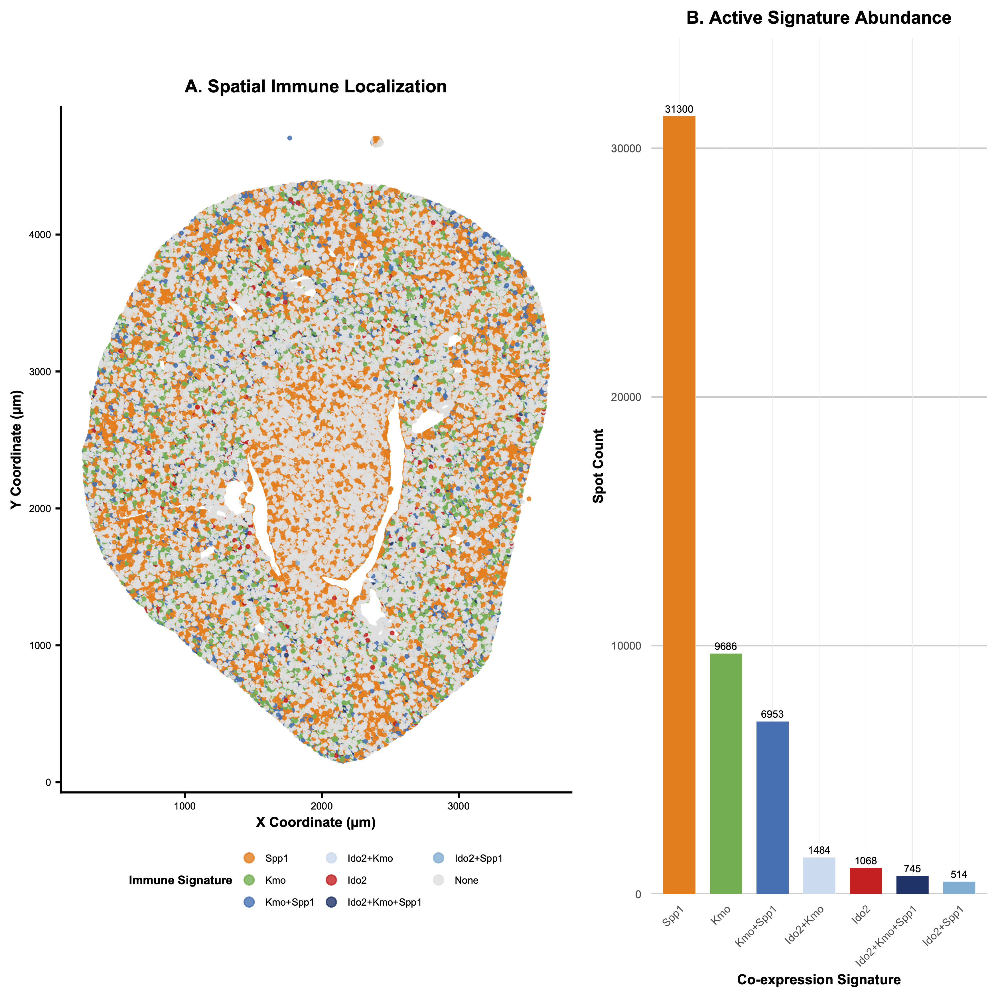 Abundance of and spatial relationship between co-expression of genes within the Kynurenine Pathway